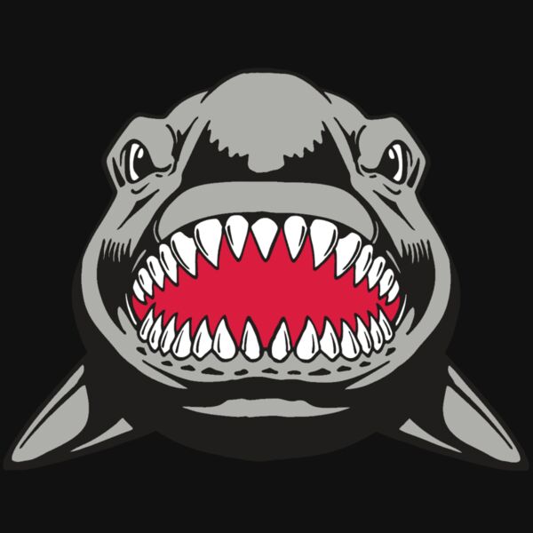 AR  SHARK 25 RC Thumbnail