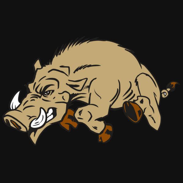 AR20 RAZORBACK 37 RQC Thumbnail