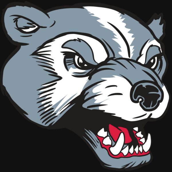 AR13 WLVRN 02 RQC Thumbnail