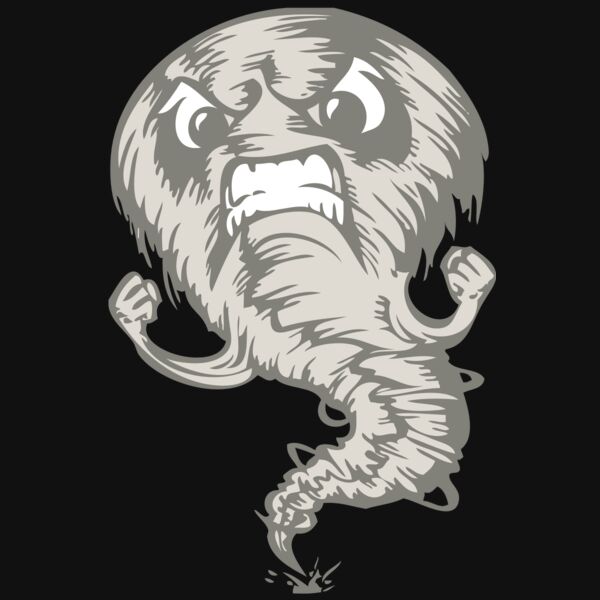 BAW STORM 07 RC Thumbnail