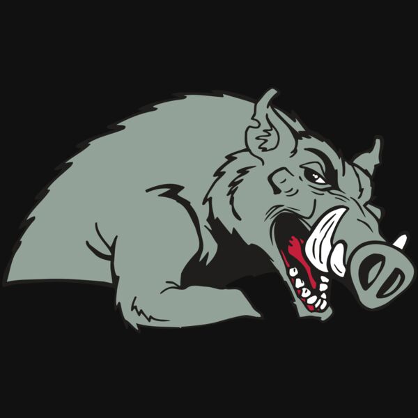 AR RAZORBACK 14 RC Thumbnail