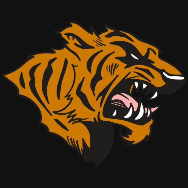 AR5 TIGER 08 RQC Thumbnail