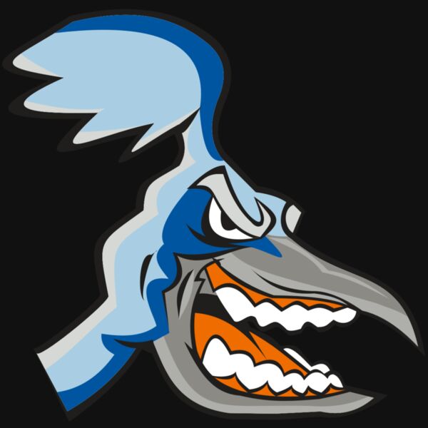 ROADRUNNER HD0504 RQC Thumbnail