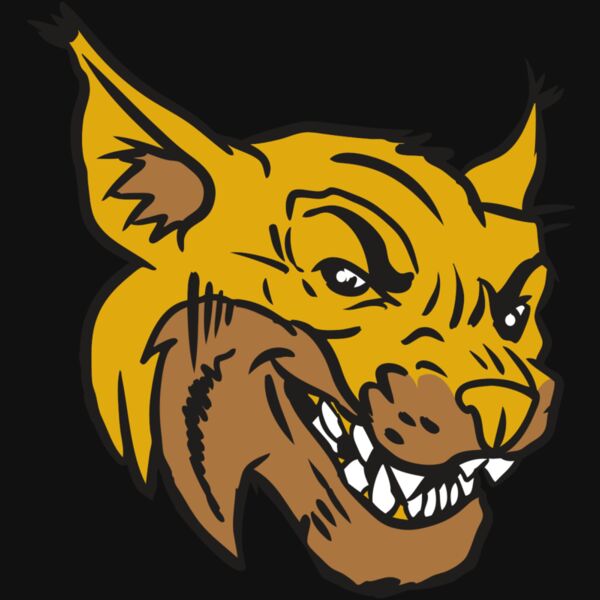 AR15 WILDCAT 01 RQC Thumbnail