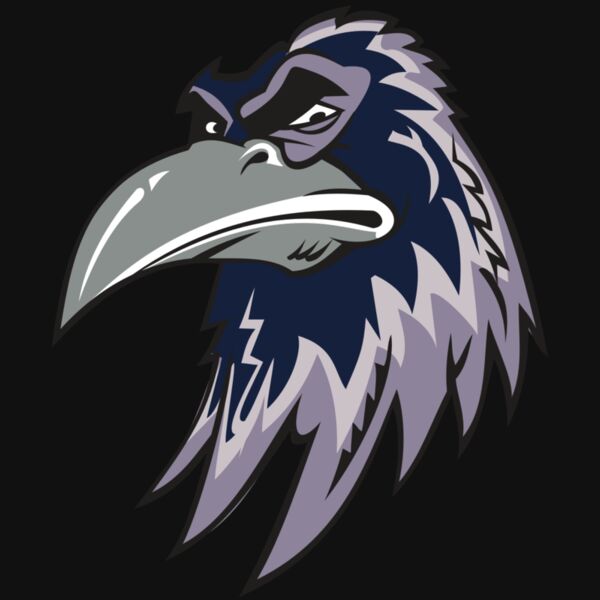 RAVEN HD0501 RQC Thumbnail