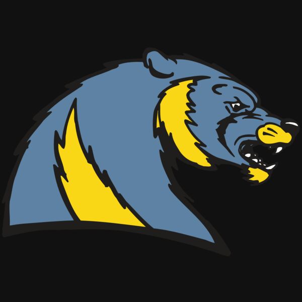 AR5 Wolverine 20 RQC Thumbnail