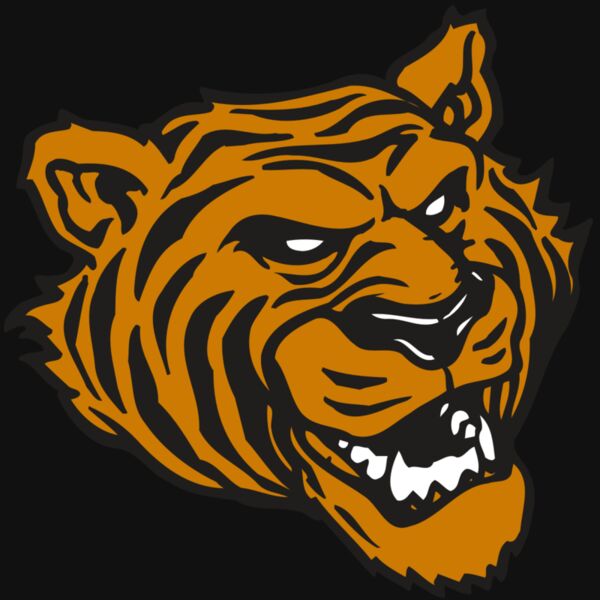 AR TIGER 43 RC Thumbnail