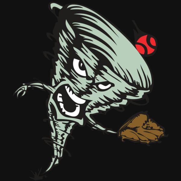 BAW STORM 09 RC Thumbnail