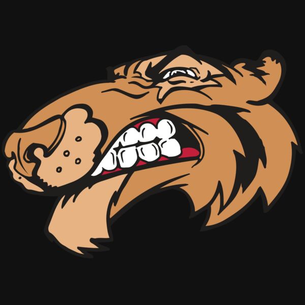 AR5 Tiger 13 RQC Thumbnail