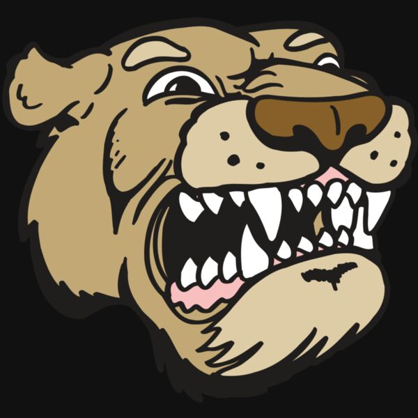 AR5 COUGAR 04 RQC Thumbnail