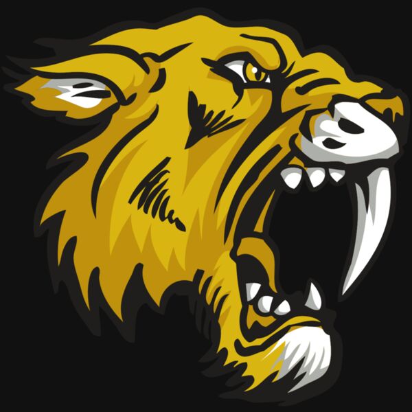 AR30 SABER 03 RQC Thumbnail