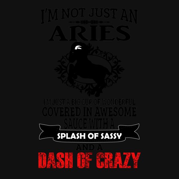 06 not just an aries black Thumbnail