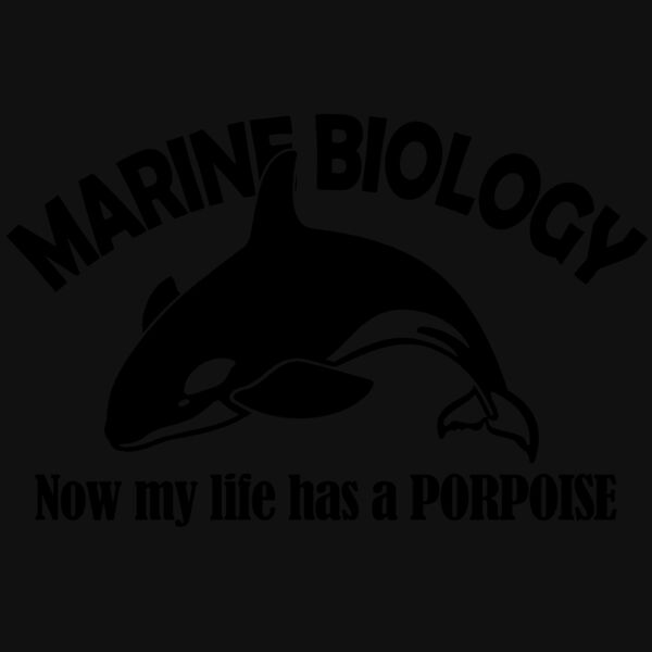 03 marine biology porpoise copy Thumbnail