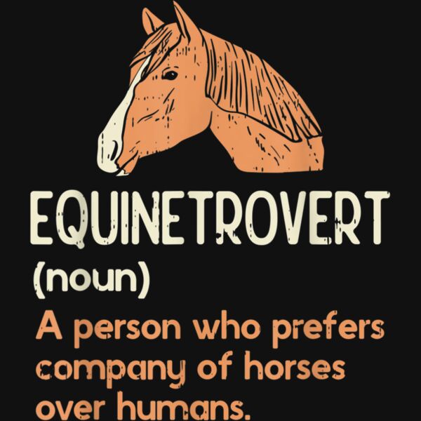 Horse Lover Gifts  Funny Meme Saying Horse Definition T Shirt Thumbnail
