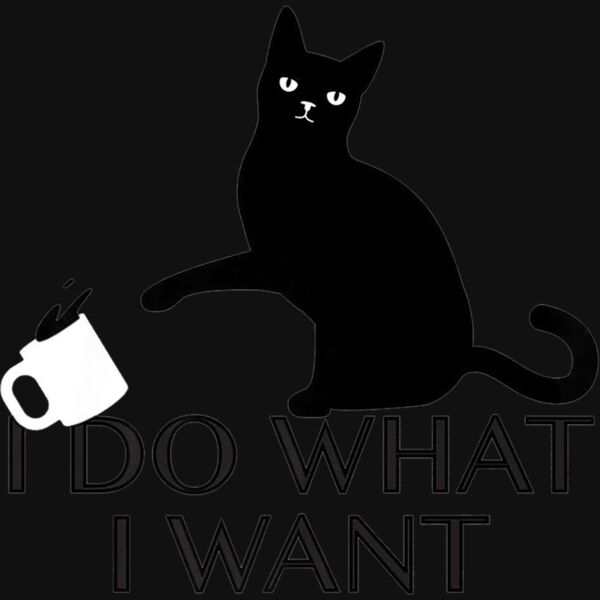 Funny Cat Personality shirt I Do What I Want Premium T Shirt Thumbnail