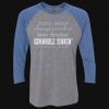 Unisex Triblend Three-Quarter Raglan T-Shirt Thumbnail